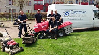 Landscaping and Grounds Maintenance