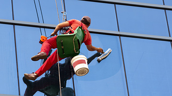 Window Cleaning Services